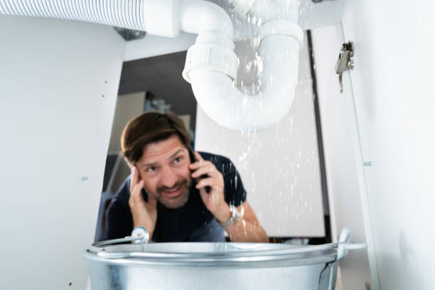 Best Local Plumber Services  in Wilson, PA