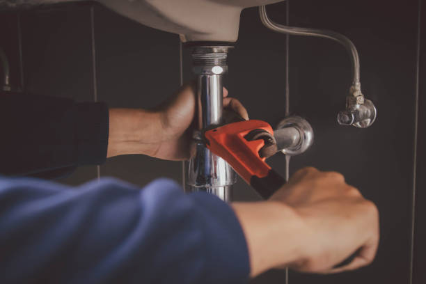 Best Drain Cleaning Services  in Wilson, PA